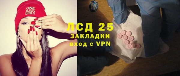 соль ск Новозыбков