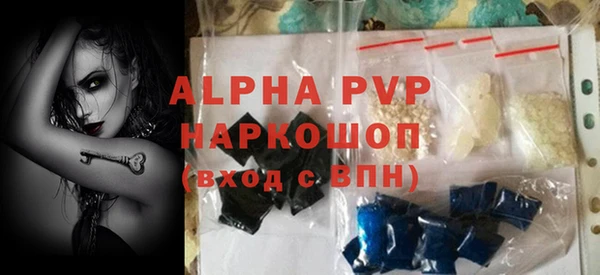 соль ск Новозыбков
