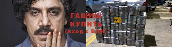 соль ск Новозыбков