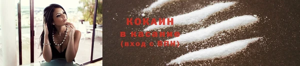 соль ск Новозыбков