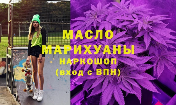 соль ск Новозыбков