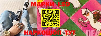 крисы Аргун