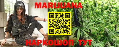 крисы Аргун