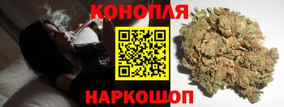 крисы Аргун